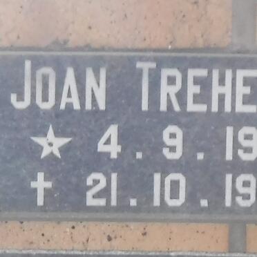 T - Vanne :: Surnames - T