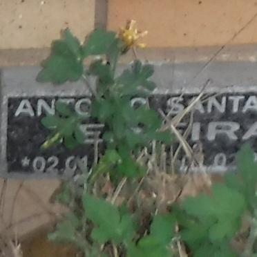 TEIXEIRA A.S. -2012