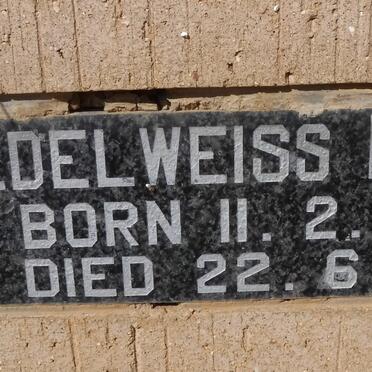 BRAIN Edelweiss 1940-1980