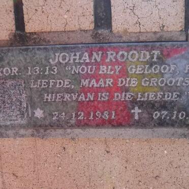 ROODT Johan 1981-1999