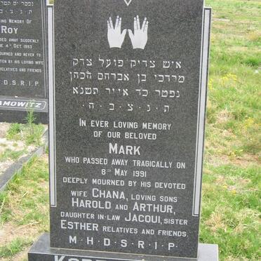 KOPELOWITZ Mark -1991