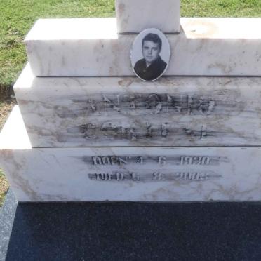 ? Antonio 1930-2003