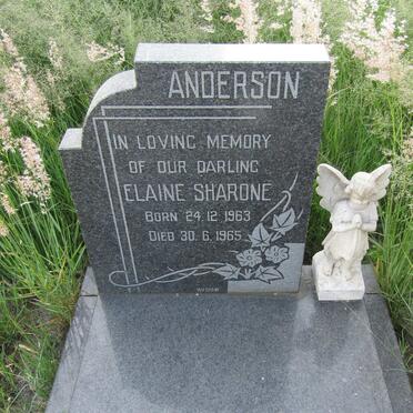 ANDERSON Elaine Sharone 1963-1965