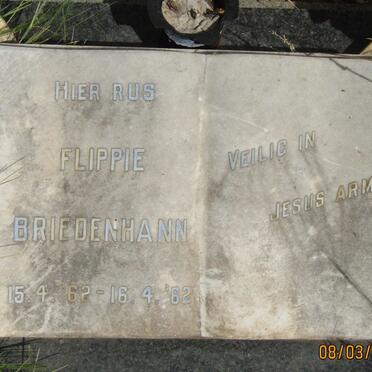 BRIEDENHANN Flippie 1962-1962