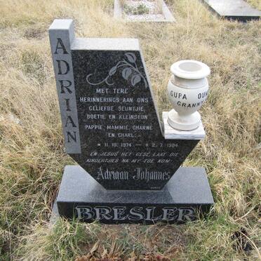 BRESLER Adriaan Johannes 1974-1984