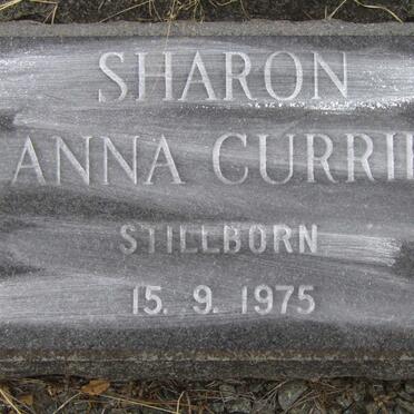 CURRIE Sharon Anna 1975-1975