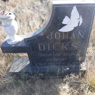 DICKS Johan 1965-1995