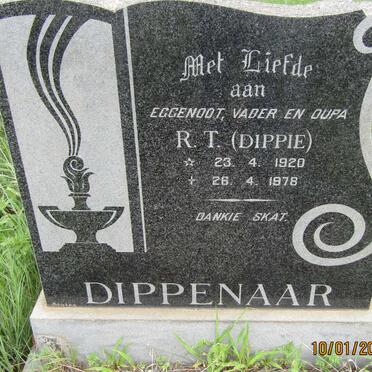 DIPPENAAR R.T. 1920-1978