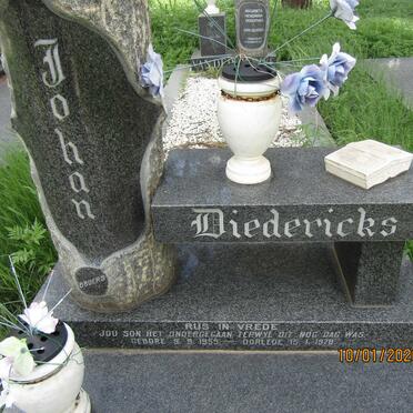 DIEDERICKS Johan 1959-1978