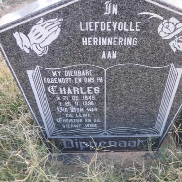 DIPPENAAR Charles 1949-1996