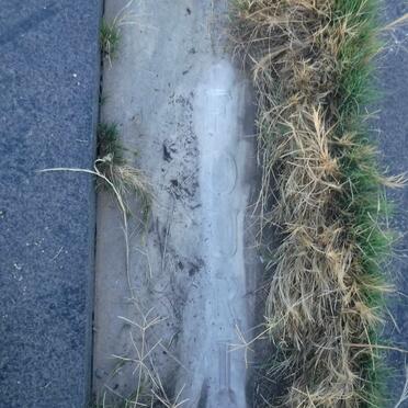 FOURIE Edward Timotheus 1908-1987 &amp; Magdalena Elizabeth SWART 1928-2002