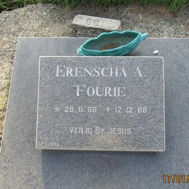 FOURIE Erenscha A. 1968-1968