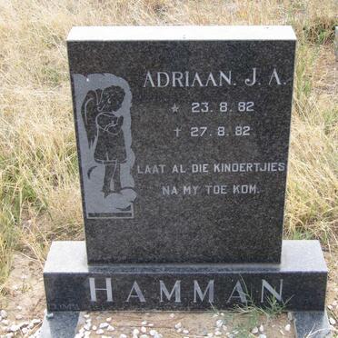 HAMMAN Adriaan J.A. 1982-1982