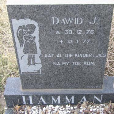 HAMMAN Dawid J. 1976-1977