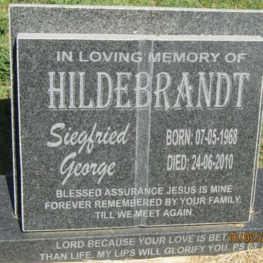 HILDEBRANDT Siegfried George 1968-2010