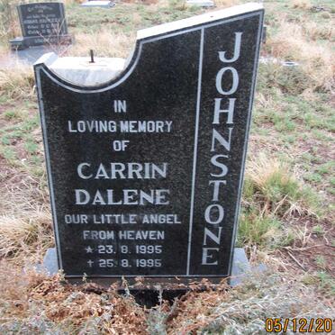 JOHNSTONE Carrin Dalene 1995-1995