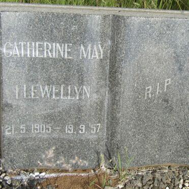 Ll - Surnames starting with the letters Ll