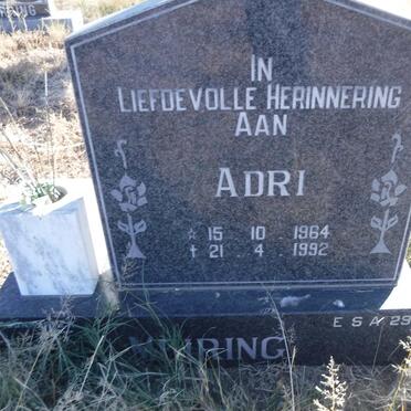 MEIRING Adri 1964-1992