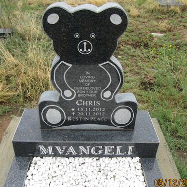 Mv - Surnames starting with the letters Mv