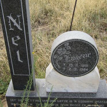 NEL Eugene 1981-1984