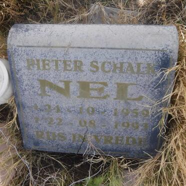 NEL Pieter Schalk 1959-1993