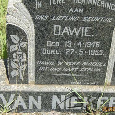NIEKERK Dawie, van 1946-1955
