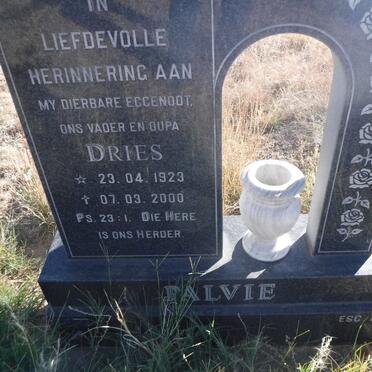 PALVIE Dries 1923-2000