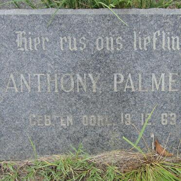 PALMER Anthony 1963-1963