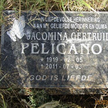 PELICANO Jacomia Gertruida 1919-2011