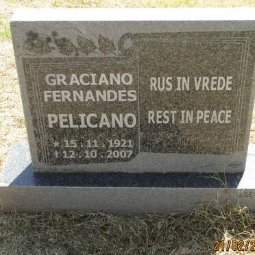 PELICANO Graciano Fernandes 1921-2007