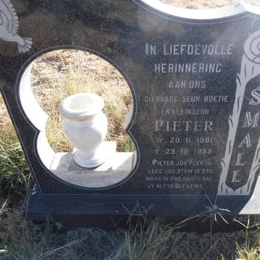 SMALL Pieter 1981-1999