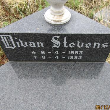 STEVENS Divan 1993-1993