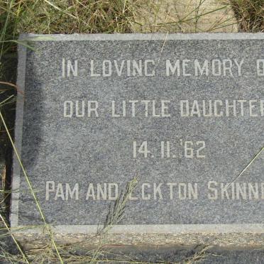 SKINNER Baby -1962