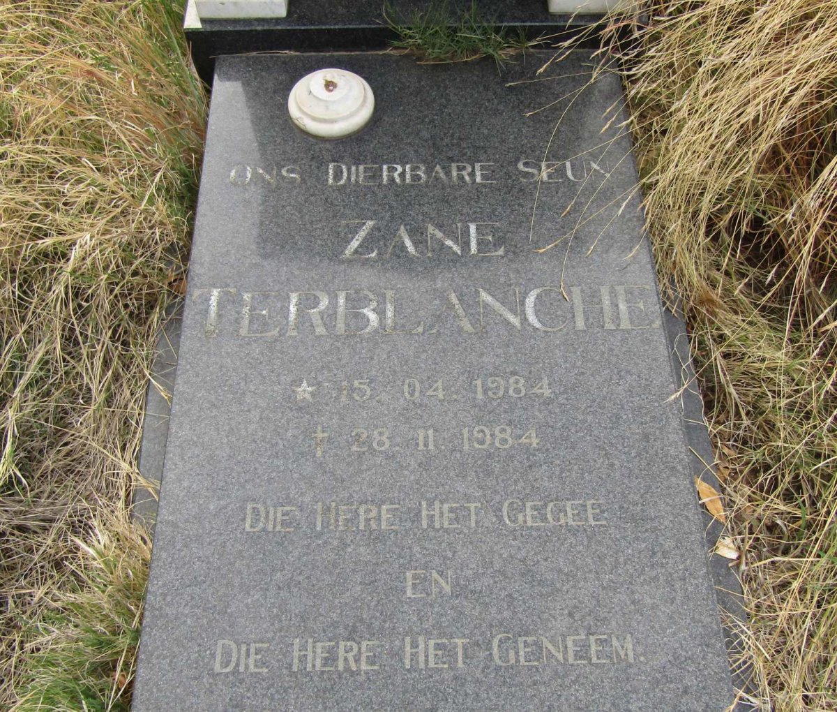 TERBLANCHE Zane 1984-1984