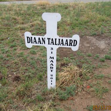 TALJAARD Diaan -2011