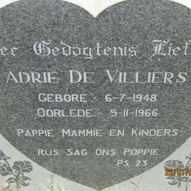 VILLIERS Adrie, de 1948-1966