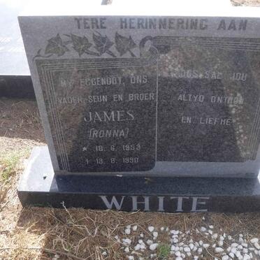 WHITE James 1953-1990