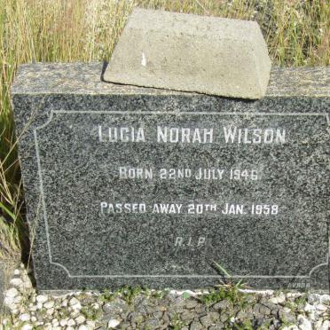 WILSON Lucia Norah 1946-1958