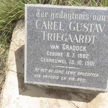 TRIEGAARDT Carel Gustav 1882-1901