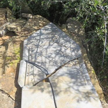 HENNING Alwijn Petrus 1822-1889