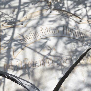 HENNING Alwijn Petrus 1822-1889