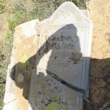 HENNING Sovia Elizabeth nee POTGIETER 1825-1888