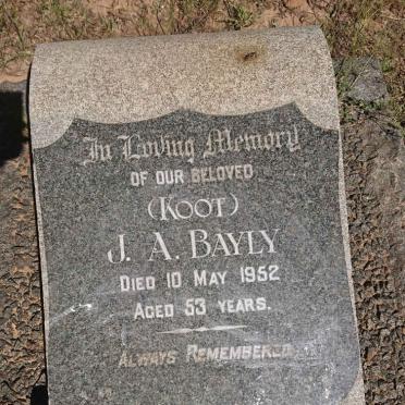 BAYLY J.A. -1952