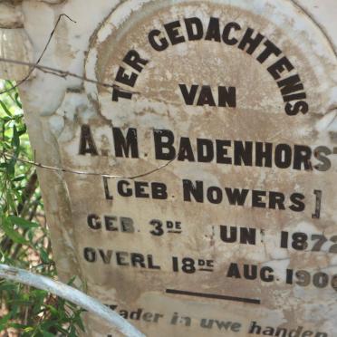 BADENHORST Anna nee NOWERS -1906 :: BADENHORST Nancy 1906-1906