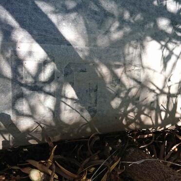 BOTHA Christiaan J. 1888-1955