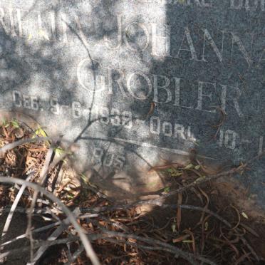 BRUIN Johanna Petronella, de 1935-1953 :: GROBLER Magrietha Johanna Adriana 1939-1953