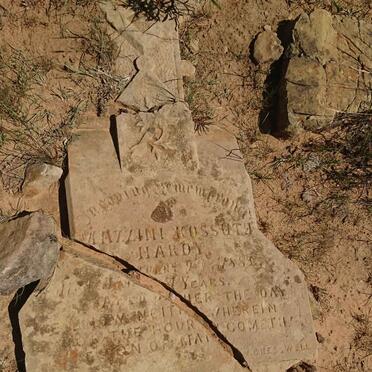 HARDY Mazzini Koss?th -1885