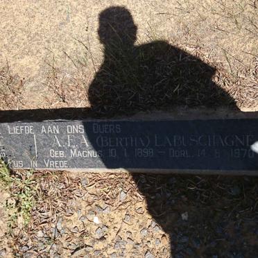 LABUSCHAGNE J.H. 1896-1966 &amp; A.E.A. MAGNUS 1898-1970
