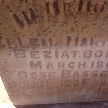 M - Surnames :: Vanne - M