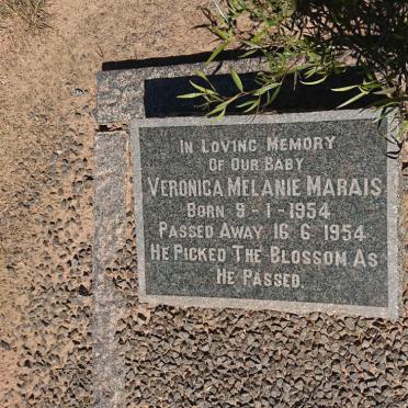 MARAIS Violet 1920-2003 :: MARAIS Veronica Melanie 1954-1954